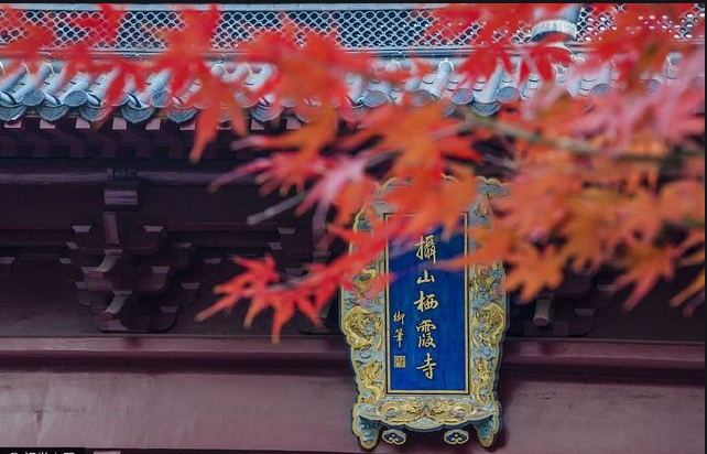 栖霞山枫叶换新颜，赏心悦目令人赞